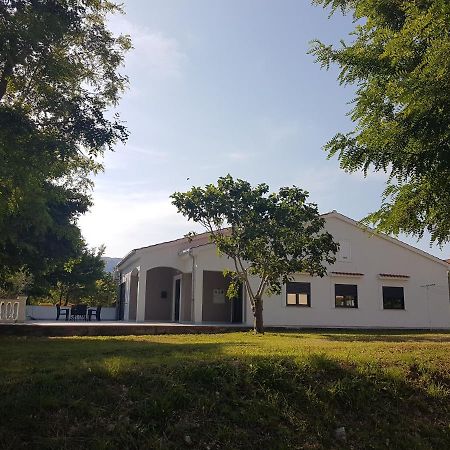 Apartments Andrea II บัชกา ภายนอก รูปภาพ